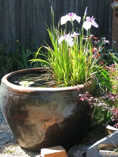 a large potted planter filled with water and flowers