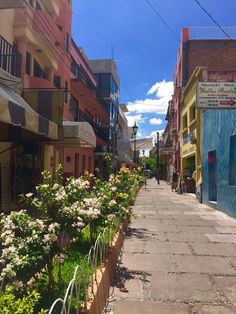 an empty city street lined with buildings and flower boxes on either side, in the daytime