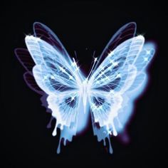 a blue butterfly flying through the air