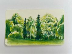 a drawing of trees and grass on a white surface