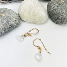 These sweet little earrings are a perfect simple addition to your favorite look. Tiny, textured 14k gold filled discs drop flashing rainbow moonstone briolettes. •14k gold filled •Moonstone •About 1" drop Dainty Teardrop Earrings With 14k Gold Filled, Dainty 14k Gold-filled Teardrop Earrings, Everyday 14k Gold Filled Birthstone Earrings, 14k Gold Filled Dainty Teardrop Dangle Earrings, Dainty Moonstone Earrings For Everyday, 14k Gold Filled Birthstone Teardrop Earrings, Dainty 14k Gold Filled Teardrop Earrings, Delicate 14k Gold Filled Briolette Earrings, Delicate Briolette 14k Gold Filled Earrings