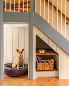 a dog sitting on his bed under the stairs