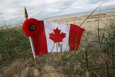 a canadian flag on the beach with grass