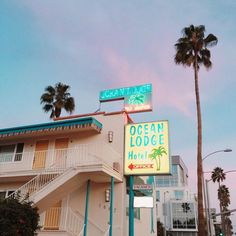 the ocean lodge hotel is located in front of palm trees