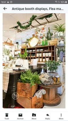 a room filled with lots of different types of plants and pots on shelves next to each other