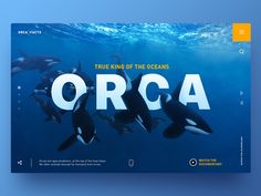 an advertisement for the orca film