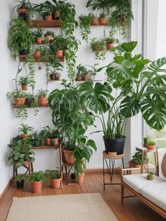 #HomeDecor #BalconyGarden #PlantDecor #GreenLiving #USAHomeTrends #InteriorDesign #UrbanJungle #PlantLovers #OutdoorLiving #HomeInspiration Plant Arrangement Ideas, Plant Setup, Tiered Shelves, Massage Therapy Rooms, Plant Arrangement, Plant Arrangements, Earthy Home Decor