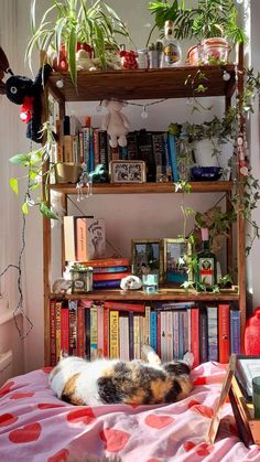 Cozy Cottage Bedroom, Home Decor Storage, Wood Bookshelf, Chemical Substances, Decor Storage, Pinterest Room Decor, Cozy Room Decor, Dreamy Room