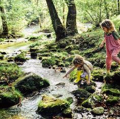 two children playing in the water near some rocks and mossy grass with trees behind them