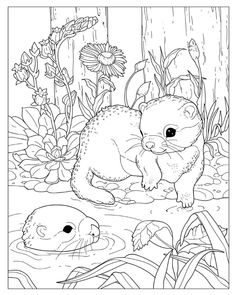 an animal coloring page with flowers and plants in the background, including a baby otter