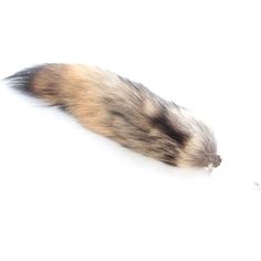 an animal's tail is shown on a white background