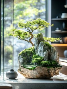 a bonsai tree is displayed in front of a glass window on a countertop