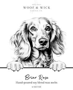 a black and white drawing of a dog with the words bird rose on it's side