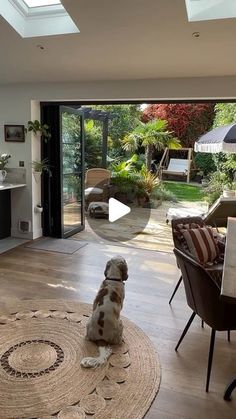 a dog is sitting in the middle of a living room