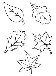 four leaf shapes are shown in black and white, including one with leaves on it