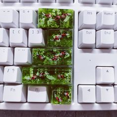 four pictures of plants are placed on the keys of a computer keyboard, which is decorated with glass tiles