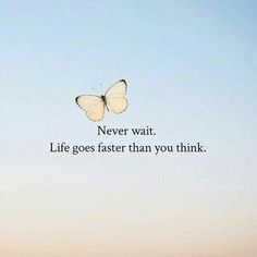 a butterfly flying in the sky with a quote above it that says never wait life goes faster than you think