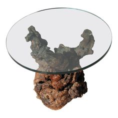 a glass table topped with rocks and a piece of driftwood in the shape of a tree trunk