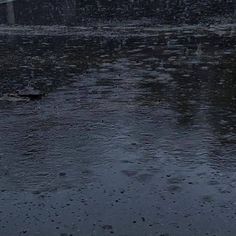 an umbrella sitting on top of a wet ground next to a street sign in the rain