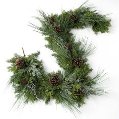 pine cones and evergreen needles are arranged in the shape of a letter s on a white background