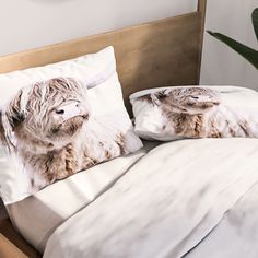 two pillows on a bed with white sheets and furry dog head in the middle one has his eyes closed