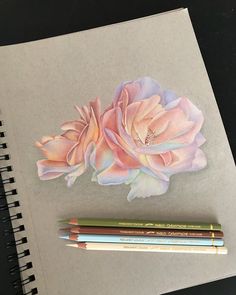 two pencils sitting on top of a piece of paper next to a drawing of flowers