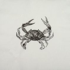 a black and white drawing of a crab