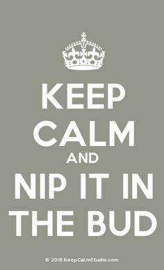 the keep calm and nip it in the bud poster is shown with white lettering