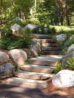 stone steps lead up to the trees and bushes