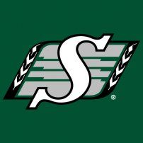 the s logo on a green background