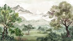 watercolor painting of trees and mountains in the foggy day, with green grass