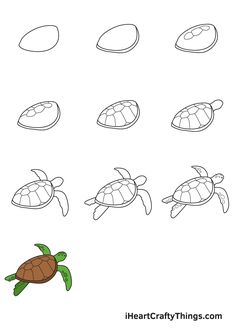 different types of sea turtles for kids to color and draw with their own hands, including the