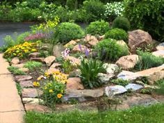 there is a rock garden in the middle of this yard, with flowers growing on it