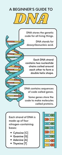 an info sheet describing the different types of medical devices and their functions in this image