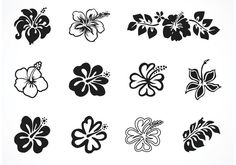 hawaiian flowers and leaves are shown in black on a white background stock photo - premium, code