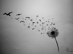 a black and white photo of a dandelion with birds flying over it in the sky