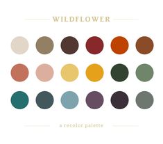 the color palette for wildflower