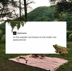 a frog sitting on top of a pink blanket next to a sign that says, bilphenx on the outside i am human on the inside i am