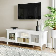 a living room with a large television on the wall and a potted plant next to it