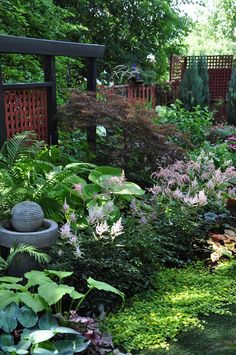 a garden filled with lots of different types of plants