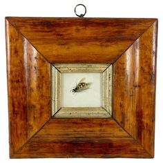 an insect in a wooden frame on a white background