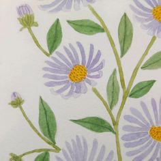 a drawing of purple flowers with green leaves