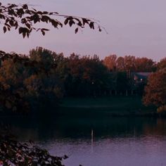 a lake surrounded by lots of trees in the evening