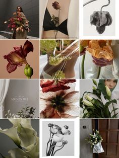 a series of photographs with flowers and plants in it's center, including an orchid