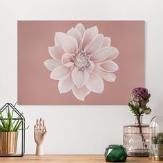 a large pink flower on a purple background in a room with other plants and knick knacks