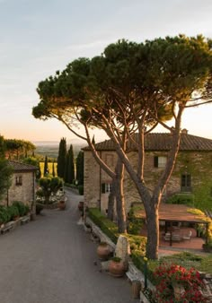 the road is lined with potted plants and trees in front of an old building