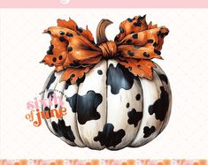 a cow print pumpkin with a bow on it