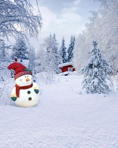 a snowman with a red hat and scarf sitting in the middle of a snowy field