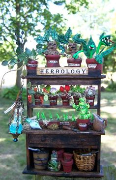 a shelf filled with potted plants on top of a grass covered field