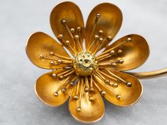 Gold Brooches, Delicate Flower, Gold Flowers, Flower Brooch, Vintage Brooches, Vintage Gold, Flower Designs, Yellow Gold, Yellow